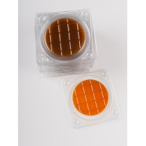 Экспресс - тест/Listeria monocytogenes (20 тестов)